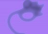 sans-titre-5_2_1_web