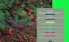 50_years_modern_color_photography_1986_web